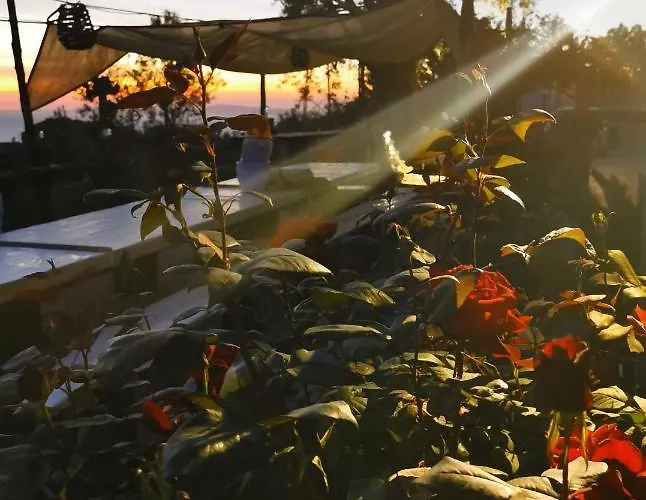 L'angolo Di Campagna Bed & Breakfast