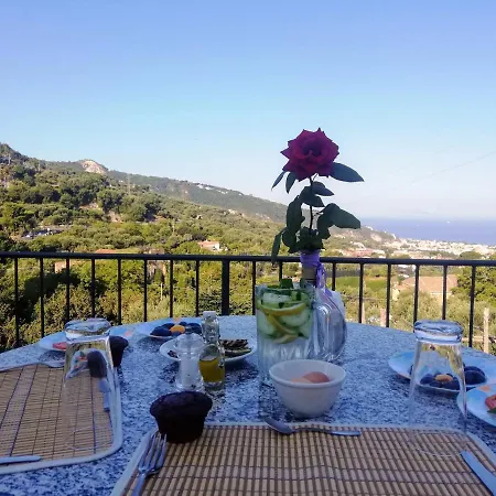 L'angolo Di Campagna Bed & Breakfast