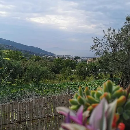 L'angolo Di Campagna Bed & Breakfast Piano di Sorrento