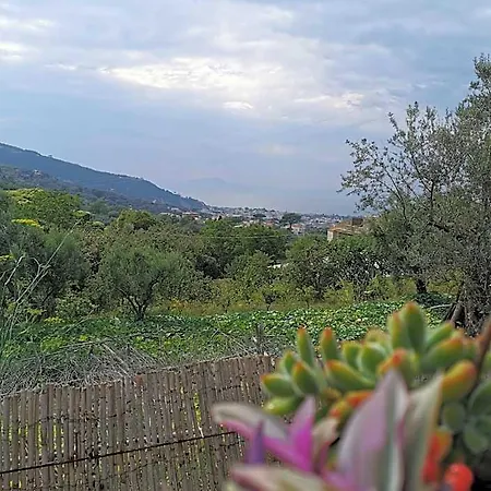L'angolo Di Campagna Piano di Sorrento