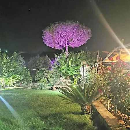 L'angolo Di Campagna Frühstückspension